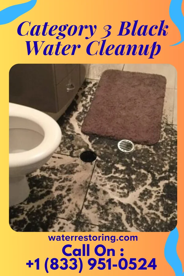 Category 3 Black Water Cleanup in Clearview Acres, WY