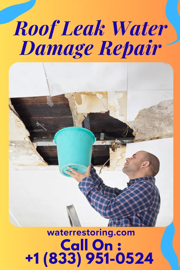 Roof Leak Water Damage Repair in Clearview Acres, WY